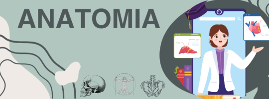 anatomia24.milaulas.com