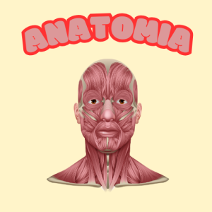 ANATOMIA